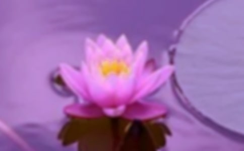 和諧相處作文600字范文