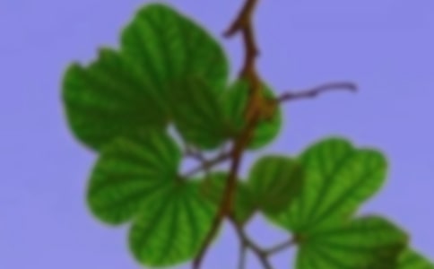 共建和諧家園倡議書范本