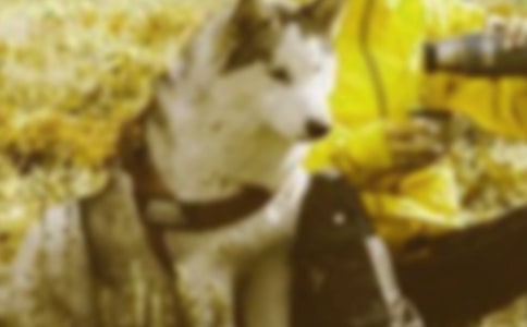 Сꐟᾀ ���C����\���ڄӄ�(chu��ng)��