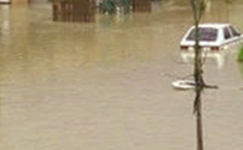 描寫洪水的作文