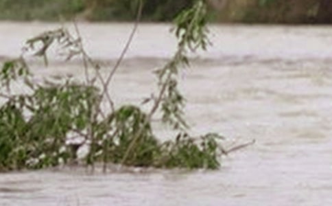 �ӵ���ˮ���M(j��n)��(sh��)ֵģ�M������GISƽ�_(t��i)�ϵĿ�ҕ��