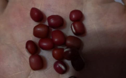 �^��t����ӛ�����x12ƪ��