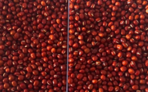 �t���^����ӛ��ͨ��22ƪ��