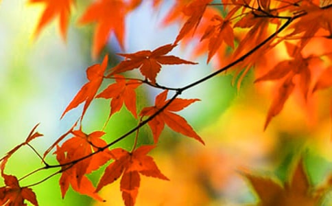 �S�L(f��ng)�h�ļt�~-��������