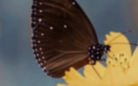 �����^����ӛ