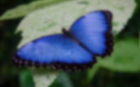 ����(sh��)�á�����ͯԒ������3ƪ