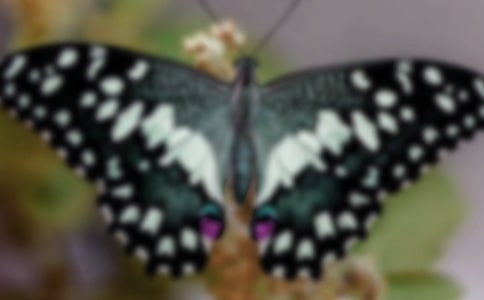 �����ĳ��LͯԒ����