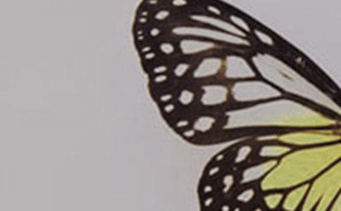 ����ͯԒ����