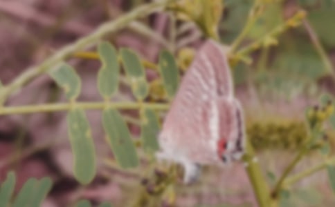 ���P(gu��n)�������Z������800��