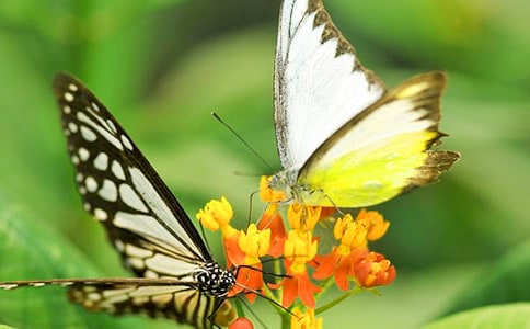 ����ĺ�������5ƪ