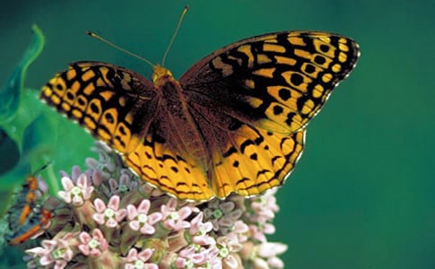 �P(gu��n)�ں������^����ӛ(����9ƪ)