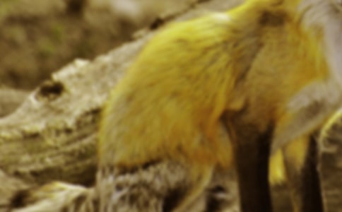 ��(sh��)�õĺ�؂ͯԒ���ĺϼ�7ƪ