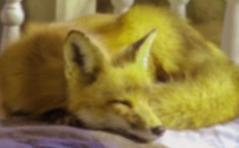 С��؂����ͯԒ����