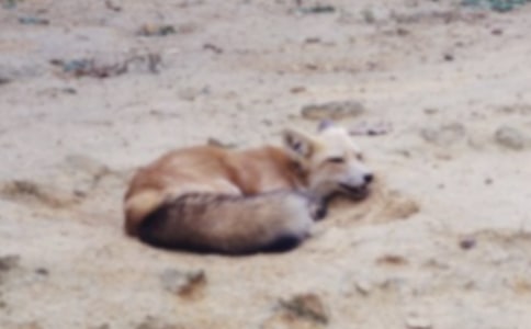 �º�؂�͞��fͯԒ����