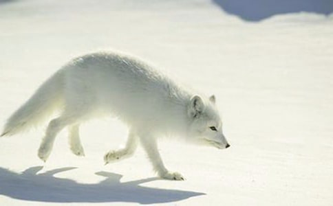 �����x����؂ͯԒ���ąR����ƪ