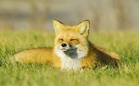 �ك��x��˲���ĺ�؂�ְ֡�