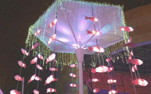 ������ӛ������