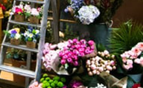 描寫(xiě)花店的句子合集