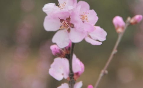 �_��ӛ����̎�Ļ�������