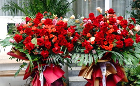 ��ྎ���@�w����ӽ̰�