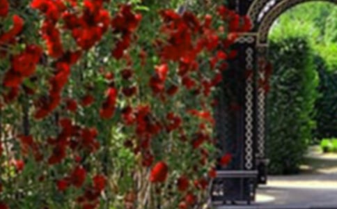 ���@����400������