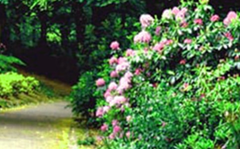 ���_���@��ӛ���ģ�ͨ��25ƪ��