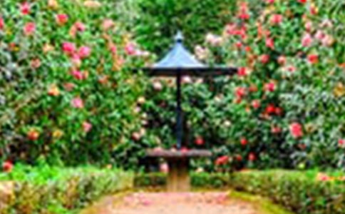 ���폈�һ��@ -�Y��