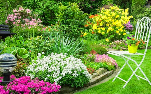 寫景花園作文精華【7篇】