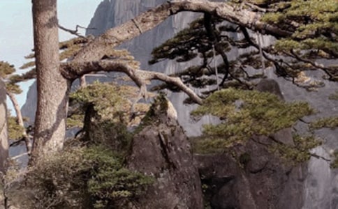 �Sɽ��ӛ����4ƪ(��(y��u))