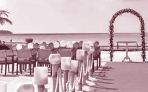 ������Y�����~