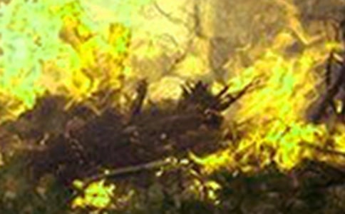 �������(z��i)���ع����R��