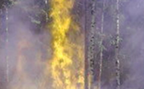 關(guān)于火災(zāi)心得感悟