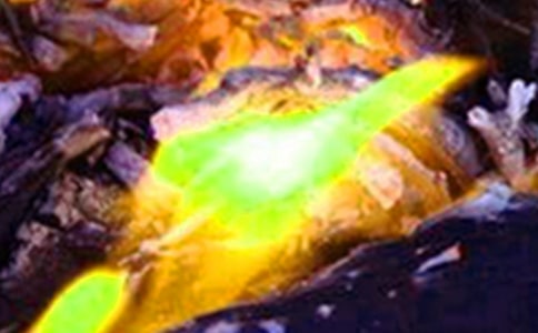 ��ĵ�����300�֣���(y��u)��