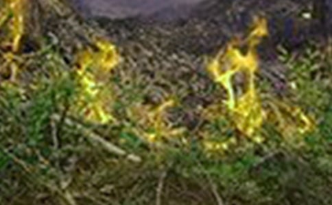 冬春火災(zāi)防控工作總結(jié)范文