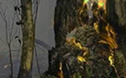 ���(z��i)�[���Ų����ι������Y(ji��)����