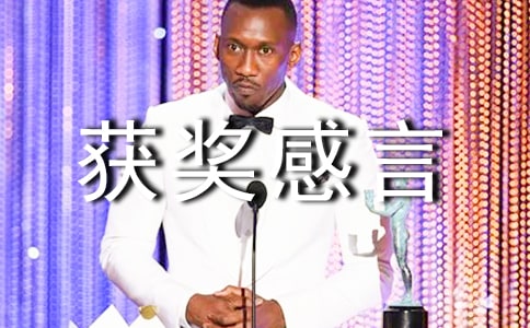 優(yōu)秀部門獲獎(jiǎng)感言范文