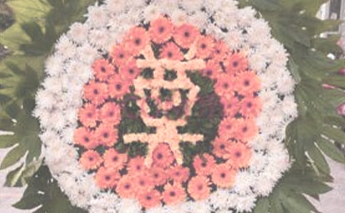 �W(xu��)��(x��)��ԣ�������`������õļ���