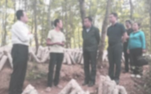 紀(jì)檢部門工作計(jì)劃