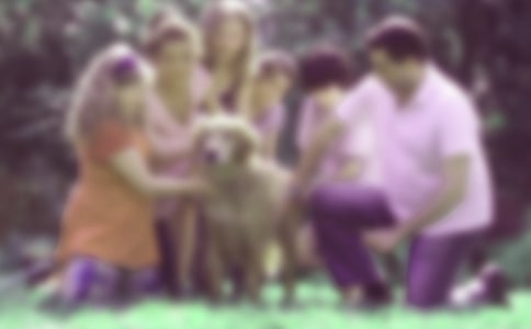 ��ͥ��������