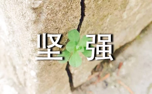 生活需要堅強作文800字(通用47篇)