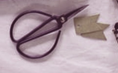 ͯȤ����ֻ�_��̧������ɰѼ�����ǰ��������M���ְԵ�(��һ��(d��ng)��)