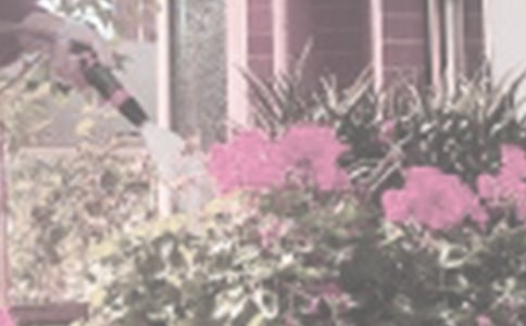 澆花作文100字(精選43篇)