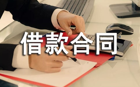 2008擔(dān)保借款合同 -合同范本