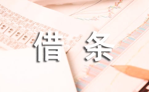 標(biāo)準(zhǔn)借條怎么寫