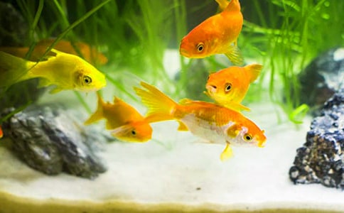 �^��С���~��ӛ300��5ƪ