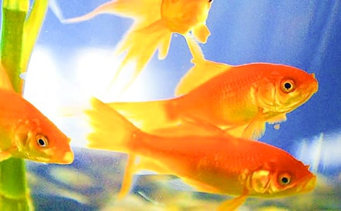 ���~�^����ӛ�����x29ƪ��