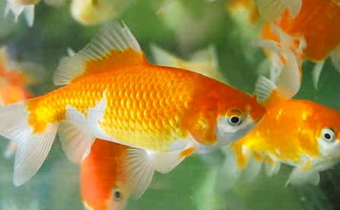 ���~���^����ӛ(����15ƪ)