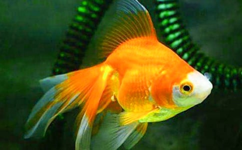 ���~(y��)�^����ӛ