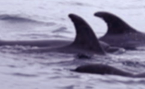 �L�~���U(xi��n)����