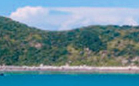 描寫西湖景色的句子作文900字